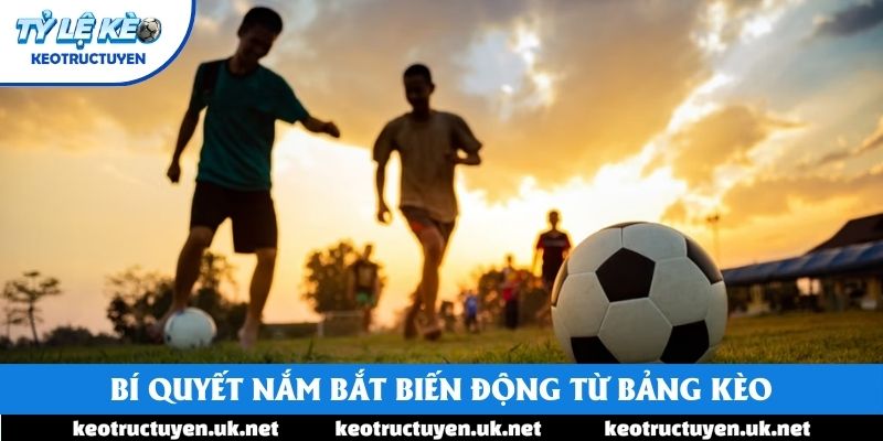 Bí quyết nắm bắt biến động từ bảng kèo