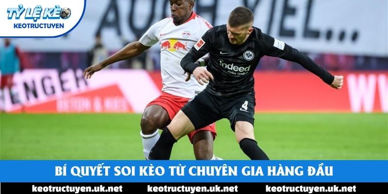 Bí quyết soi kèo từ chuyên gia hàng đầu