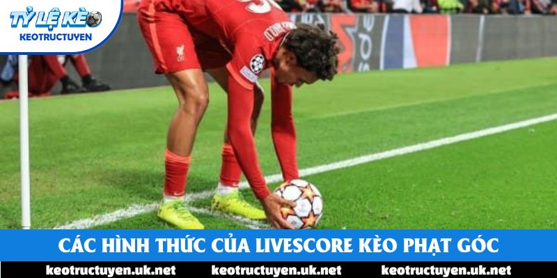 Các hình thức của Livescore kèo phạt góc