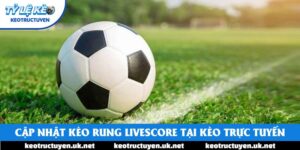 Cập Nhật Kèo Rung Livescore Nhanh Chóng Tại Kèo Trực Tuyến