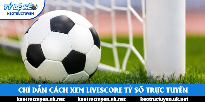 Chỉ dẫn cách xem Livescore tỷ số trực tuyến Chỉ dẫn cách xem Livescore tỷ số trực tuyến