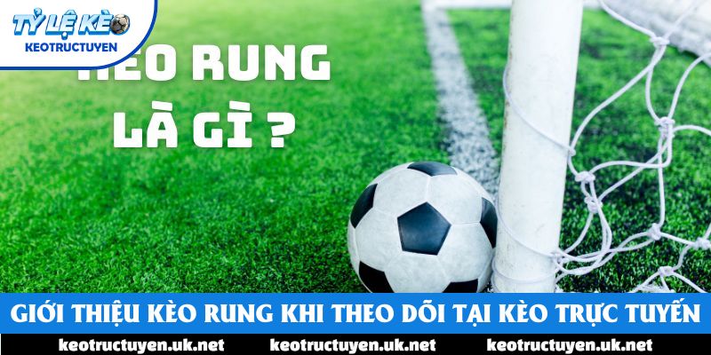 Giới thiệu kèo rung khi theo dõi tại Kèo Trực Tuyến