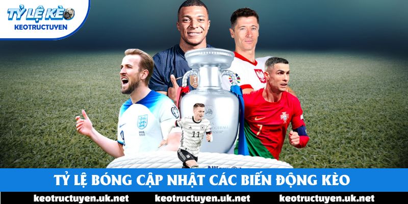 Tỷ lệ bóng cập nhật các biến động kèo theo từng thời điểm