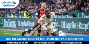 Lịch Thi Đấu Kèo Bóng Đá Đức - Phân Tích Tỷ Lệ Kèo Chi Tiết