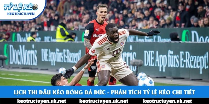 Lịch Thi Đấu Kèo Bóng Đá Đức - Phân Tích Tỷ Lệ Kèo Chi Tiết