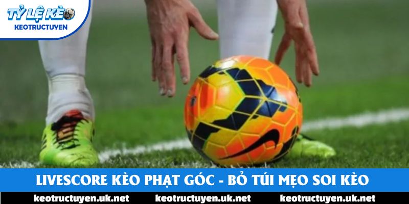 Livescore Kèo Phạt Góc - Bỏ Túi Ngay Mẹo Soi Kèo Hiệu Quả