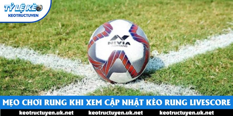 Mẹo chơi rung khi xem cập nhật kèo rung Livescore