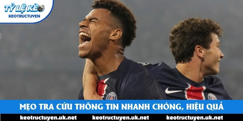 Mẹo tra cứu thông tin nhanh chóng, hiệu quả