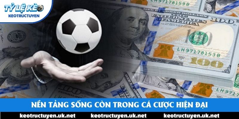 Nền tảng sống còn trong cá cược hiện đại