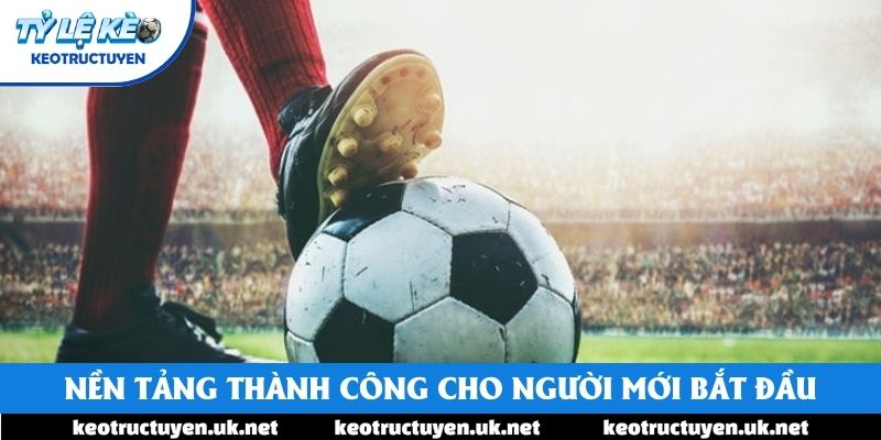 Nền tảng thành công cho người mới bắt đầu