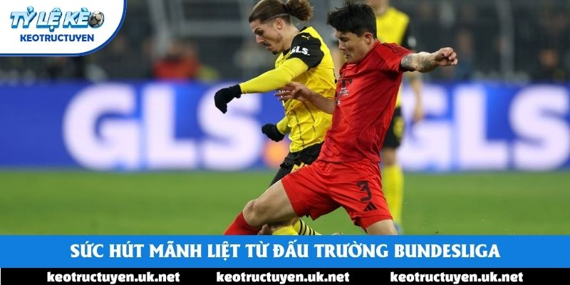 Sức hút mãnh liệt từ đấu trường Bundesliga