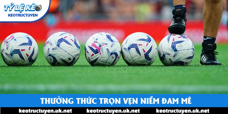 Thưởng thức trọn vẹn niềm đam mê